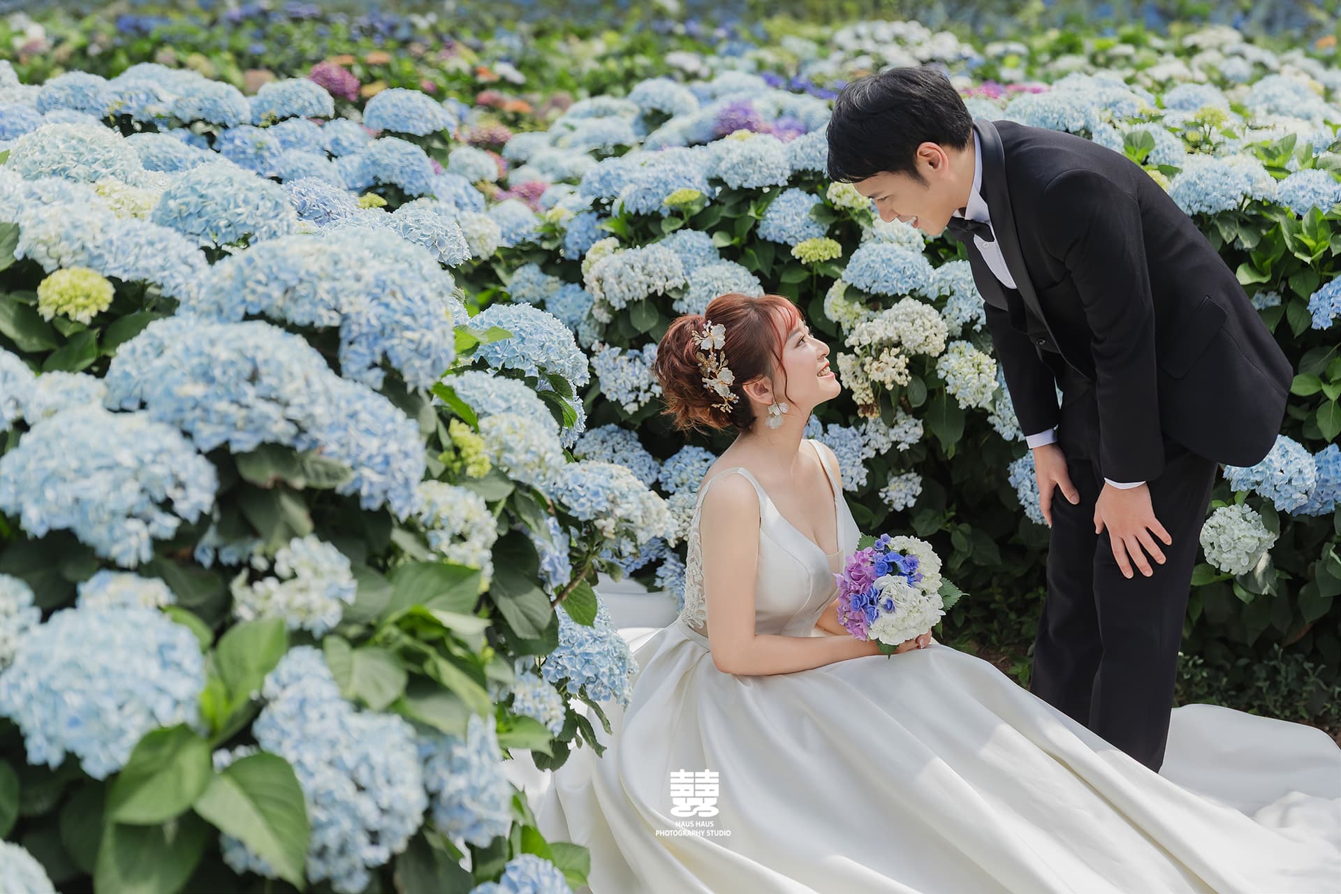 陽明山竹子湖花季婚紗，藍色繡球花海中新娘席地而坐與新郎溫柔對視，唯美花仙子婚紗｜發現好室